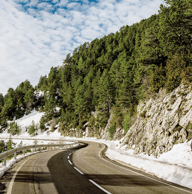 3 climate resolutions corporate leaders can make in 2025
